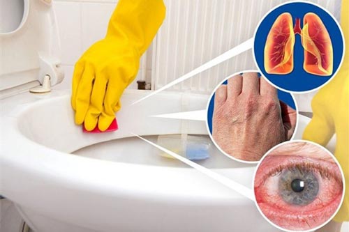 Tại sao nên đóng nắp bồn cầu khi xả nước?