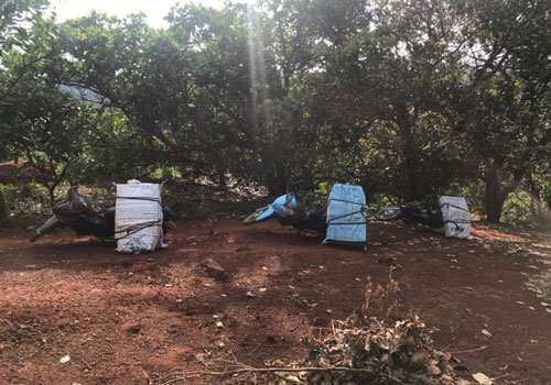 Gia Lai: Phát hiện nhiều đối tượng dùng xe máy chở hơn 200 kg pháo lậu