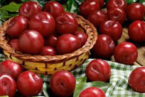 7 bài thuốc dân gian từ mận