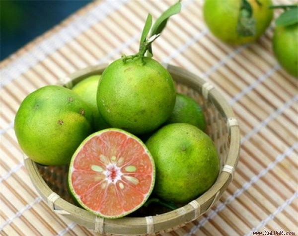 Chanh đào rất giàu axit citric và chỉ một ít nước chanh cũng có thể cải thiện hệ tiêu hóa