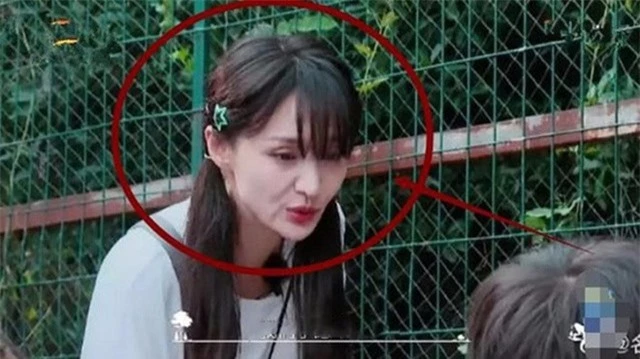 Nữ thần thanh xuân Trịnh Sảng bỏ show vì bị chỉ trích kém duyên - 5