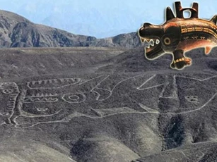 Tận mắt thấy cá voi hình dạng kỳ quái dài 70m tại Peru