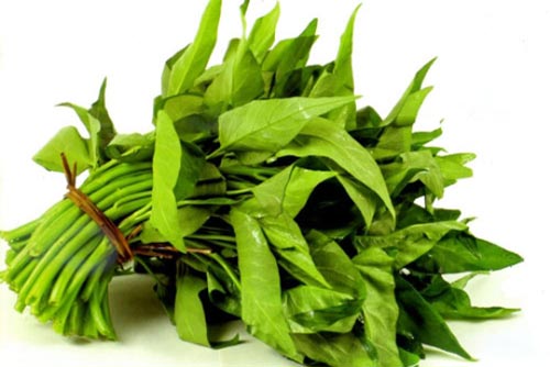 Bài thuốc hay từ rau muống