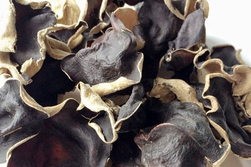 Nấm mèo: Vị thuốc chữa bệnh tuyệt vời