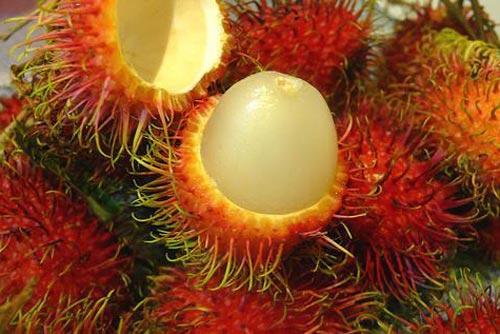 Những công dụng phòng trị bệnh tuyệt vời của chôm chôm