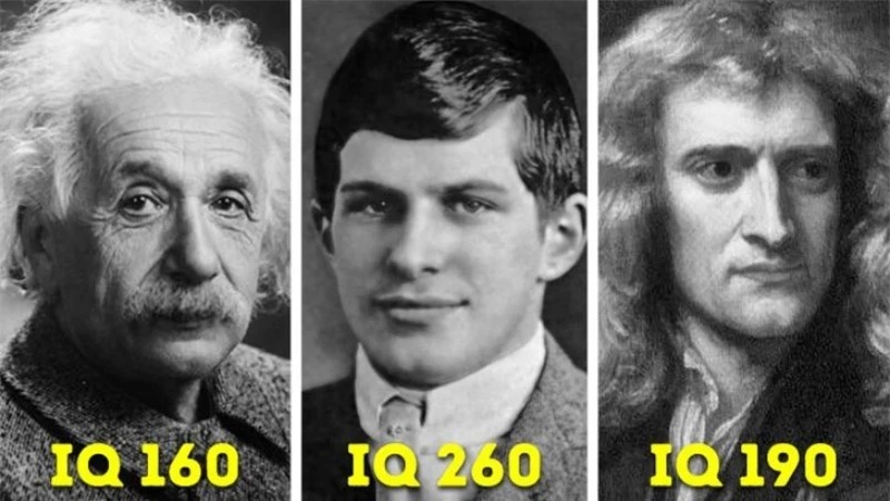 Cuộc đời bất hạnh của người đàn ông có chỉ số IQ cao nhất thế giới