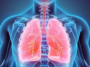 Những dấu hiệu cảnh báo bạn đang có nguy cơ mắc bệnh phổi