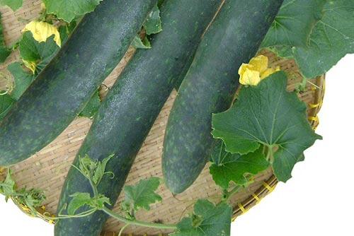 Các loại rau củ cực tốt với sức khỏe bà bầu