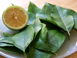 Bị những bệnh này khỏi cần dùng thuốc tốn tiền, cứ lấy lá chanh nấu nước uống theo cách này là khỏi