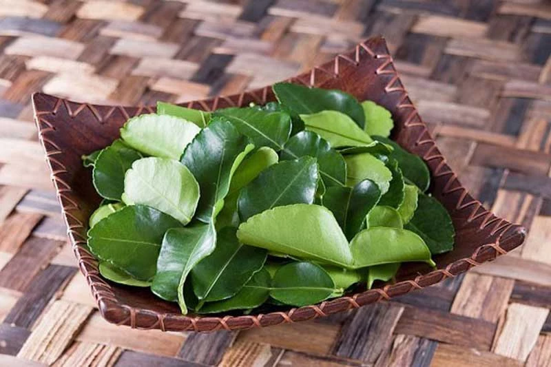 Ảnh minh họa. Ảnh minh họa.
