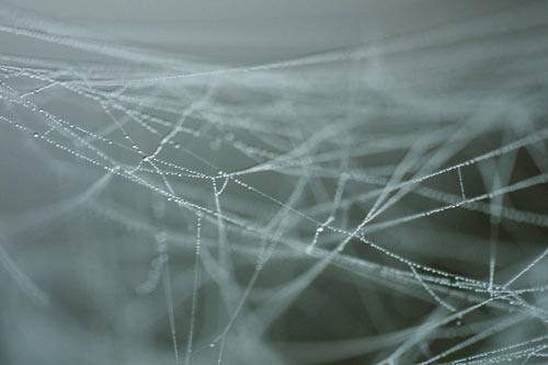 Bí ẩn 'tóc thiên thần' từ trên trời rơi xuống khiến người dân sợ hãi