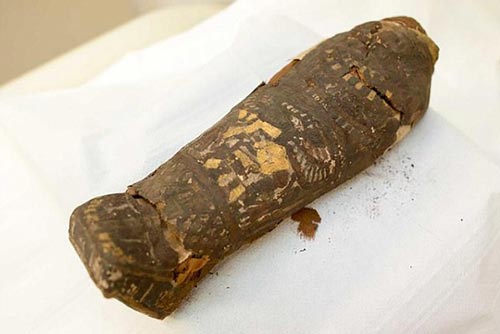 Tưởng là xác chim, ngỡ ngàng phát hiện chính là xác ướp người