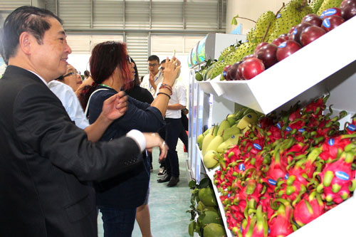 ‘Vượt ải’ 2020, mở thị trường mới cho xuất khẩu rau quả