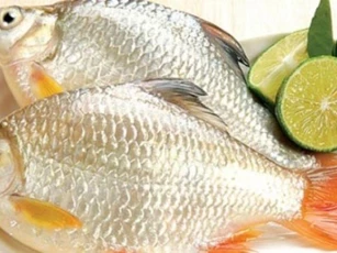 Tuyệt chiêu giữ cá tươi lâu mà không cần dùng tới tủ lạnh, bà nội trợ nào cũng nên biết