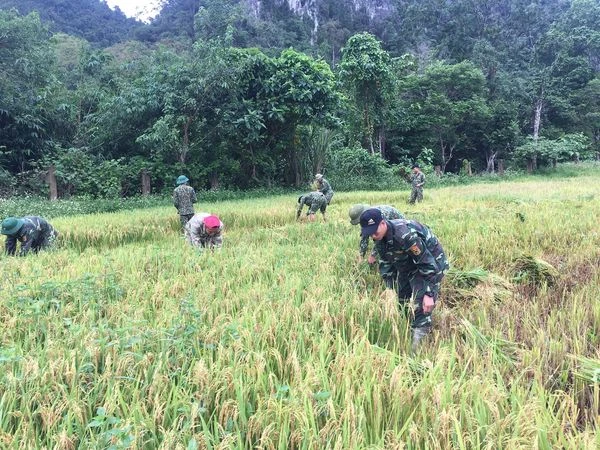 Chiến sĩ Đồn Biên Phòng Cà Xèng giúp dân trồng lúa nước trên cánh đồng Rục Làn
