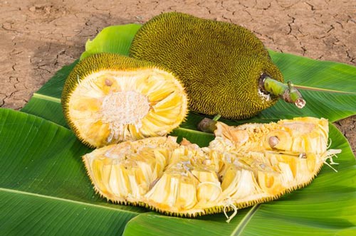 Ăn mít như thế nào để không bị nóng và tốt nhất cho sức khỏe?