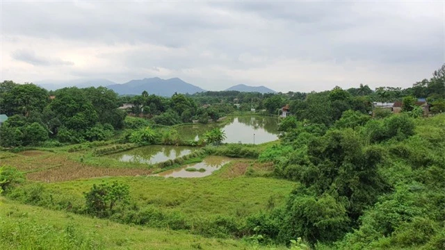 Tiền nhiều không biết làm gì, đại gia thi nhau tậu đất quê làm nhà vườn - 2