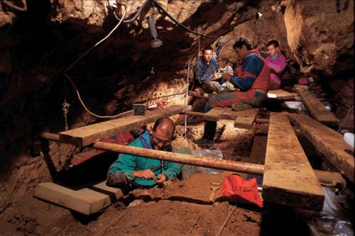 Sốc: Một loài người tuyệt chủng từng mang đặc tính của gấu