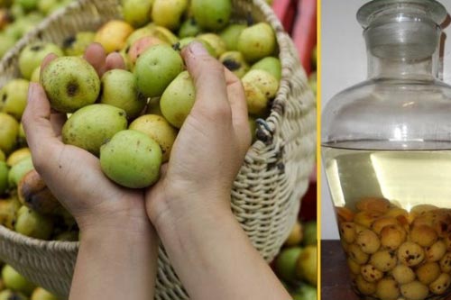 Táo mèo: 'Thuốc độc' đối với những người sau