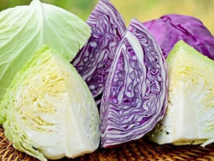 Những người tuyệt đối không ăn rau bắp cải