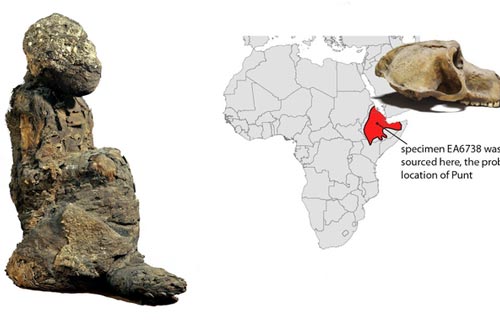 Xác ướp không phải con người tiết lộ "đất châu báu" đầy vàng 3.000 năm