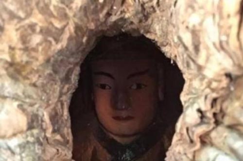 Phát hiện tượng phật 1000 năm tuổi trong thân cây Long não cổ