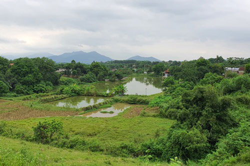 Tiền nhiều không biết làm gì, đại gia thi nhau "tậu" đất quê làm nhà vườn