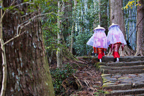 Khám phá văn hóa "tắm rừng" kỳ lạ ở Nhật Bản