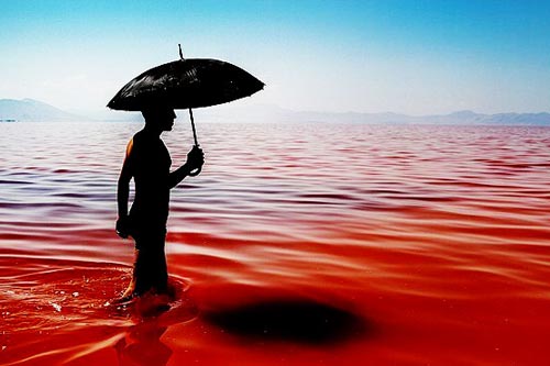 Giải mã hiện tượng nước biển xanh bỗng chốc 'đỏ như máu'