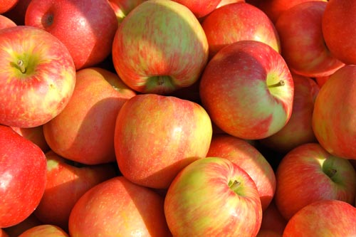 Không cần tẩy trắng vẫn có hàm răng sáng bóng với 5 thực phẩm này