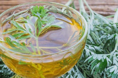 Nước ngải cứu tươi có tác dụng gì? Nhiều người bỏ lỡ mà không biết