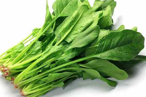 Mẹ bầu thường xuyên ăn 4 loại rau này cực kỳ tốt cho sức khỏe, phòng ngừa dị tật thai nhi