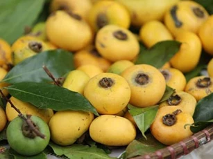 Giải mã tại sao quả thị chỉ để ngửi chứ không nên ăn