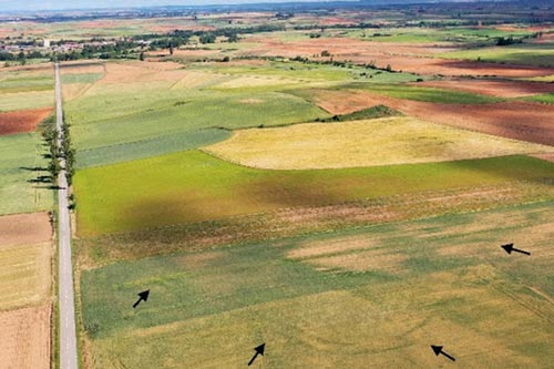 Radar phát hiện 66 "căn cứ ma" giữa đồng, mắt thường không nhìn thấy