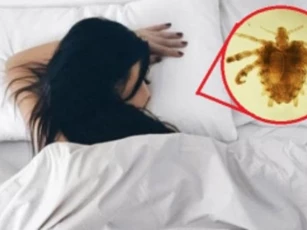 4 đồ vật trong phòng ngủ chứa cả triệu vi khuẩn, bẩn gấp 1000 lần so với bồn cầu nhưng chẳng ai để ý