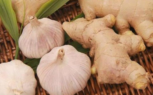 Phó Thủ tướng Vũ Đức Đam chỉ đạo Bộ Y tế tháo gỡ ngay vướng mắc, bất cập liên quan đến nhập khẩu dược liệu