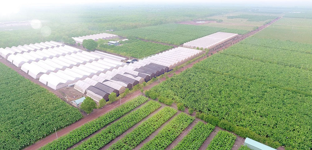Khu Nông nghiệp ứng dụng công nghệ cao An Thái do Công ty cổ phần Nông nghiệp Unifarm làm chủ đầu tư, tại xã An Thái, huyện Phú Giáo, tỉnh Bình Dương.