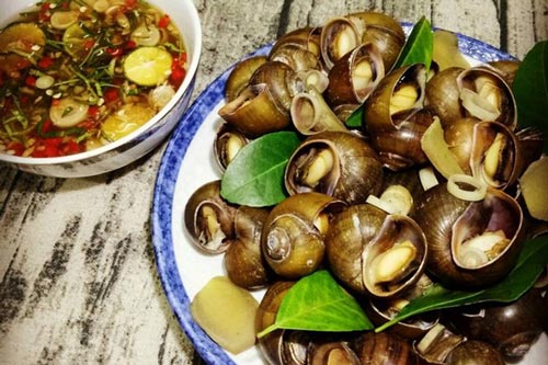 Ốc luộc ngon, không bị dai nhờ cách luộc này