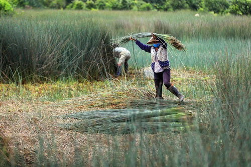 'Hồi sinh' sản phẩm thủ công mỹ nghệ ở vùng đất cỏ bàng
