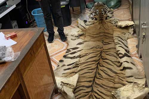 Cao Bằng: Phát hiện vận chuyển trái phép sản phẩm động vật hoang dã