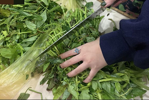 Đến nhà bạn trai ra mắt, cô gái bị mẹ chồng tương lai 'đuổi thẳng cổ' chỉ vì chuyện dùng dao cắt mớ rau