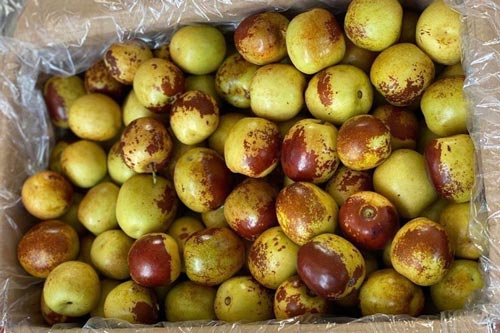 4 loại trái cây gây tăng cân nhanh hơn ăn thịt, số 2 còn được nhiều chị em dùng để... giảm cân