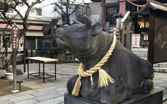 Thống kê thú vị về số người sinh năm Sửu của Nhật Bản