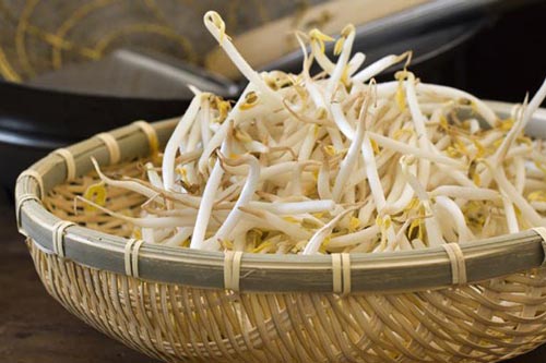 Ăn giá đỗ không đúng cách coi chừng trúng độc