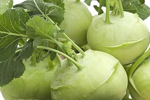 Những người không nên ăn củ su hào