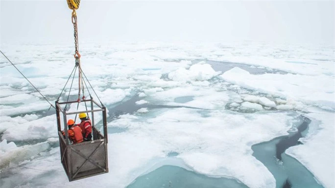 Phát hiện 12 sinh vật chưa từng thấy trên Trái Đất ẩn nấp dưới biển băng - Ảnh 1.
