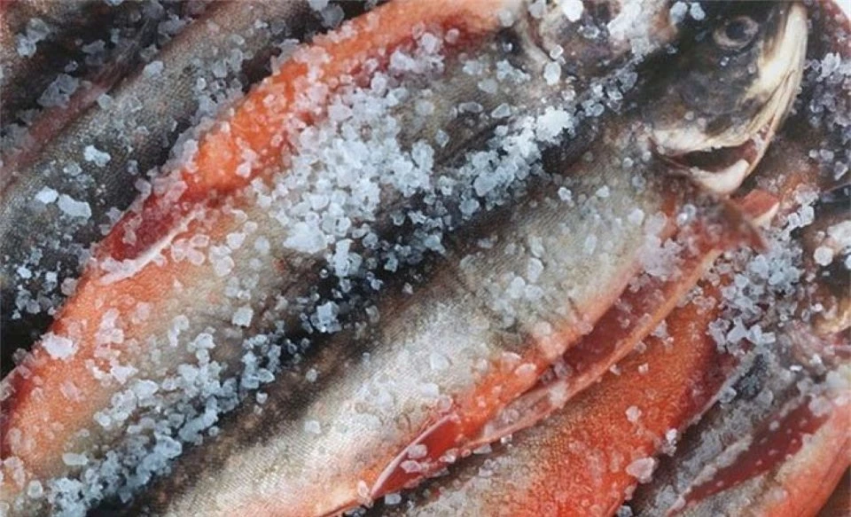 Sai lầm khi cho trẻ ăn cá gây nguy hại đến sức khỏe