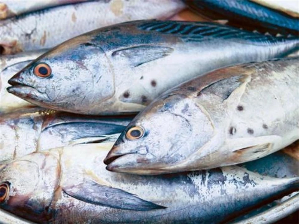 Sai lầm khi cho trẻ ăn cá gây nguy hại đến sức khỏe