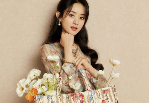 Fan tranh cãi về phong cách diện đồ hiệu của Triệu Lệ Dĩnh