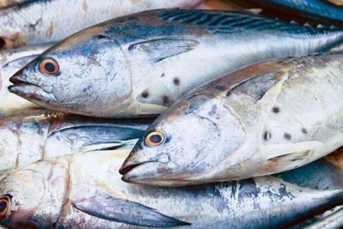 Sai lầm khi cho trẻ ăn cá gây nguy hại đến sức khỏe